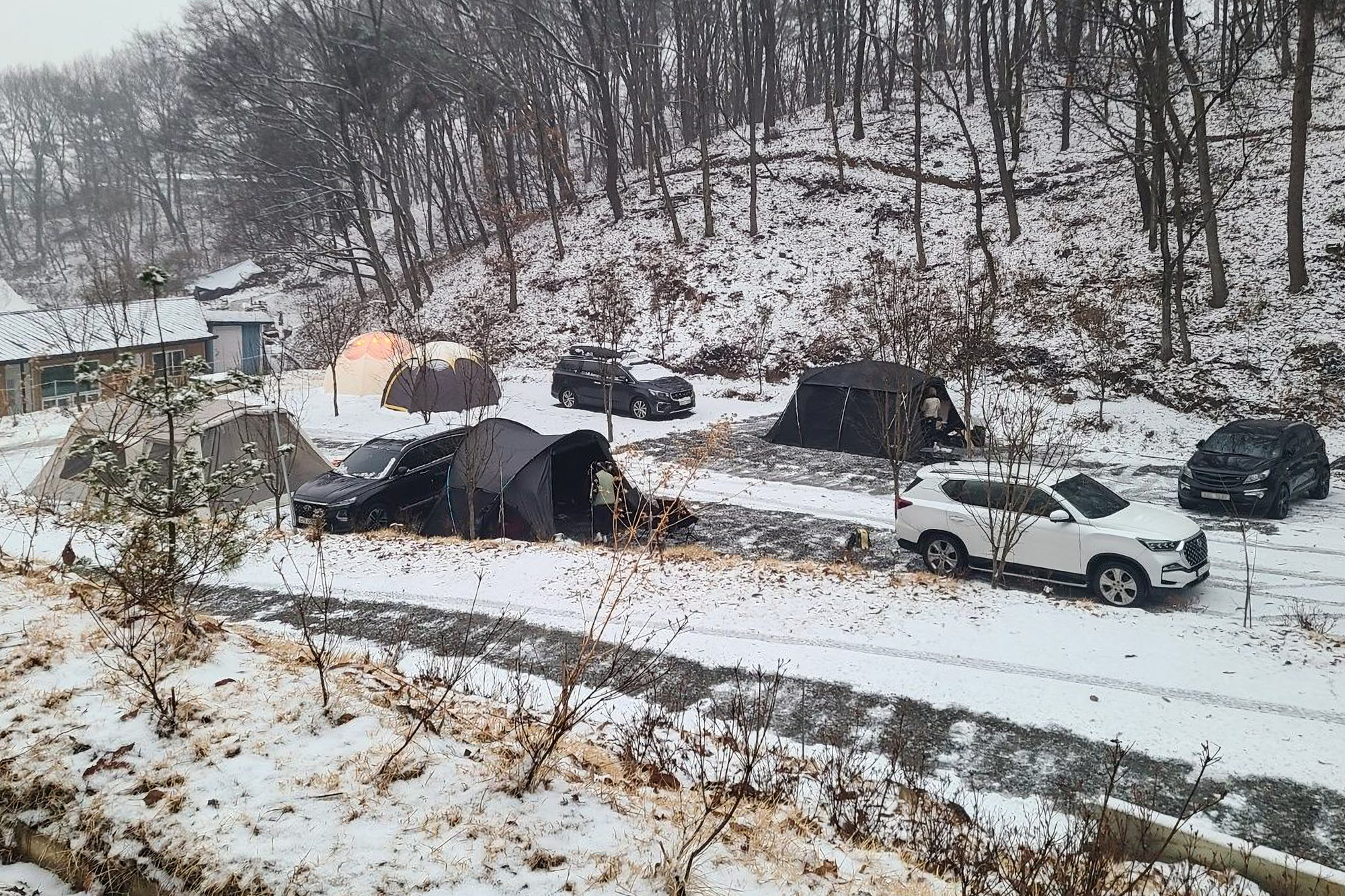 더 봄날 캠핑장