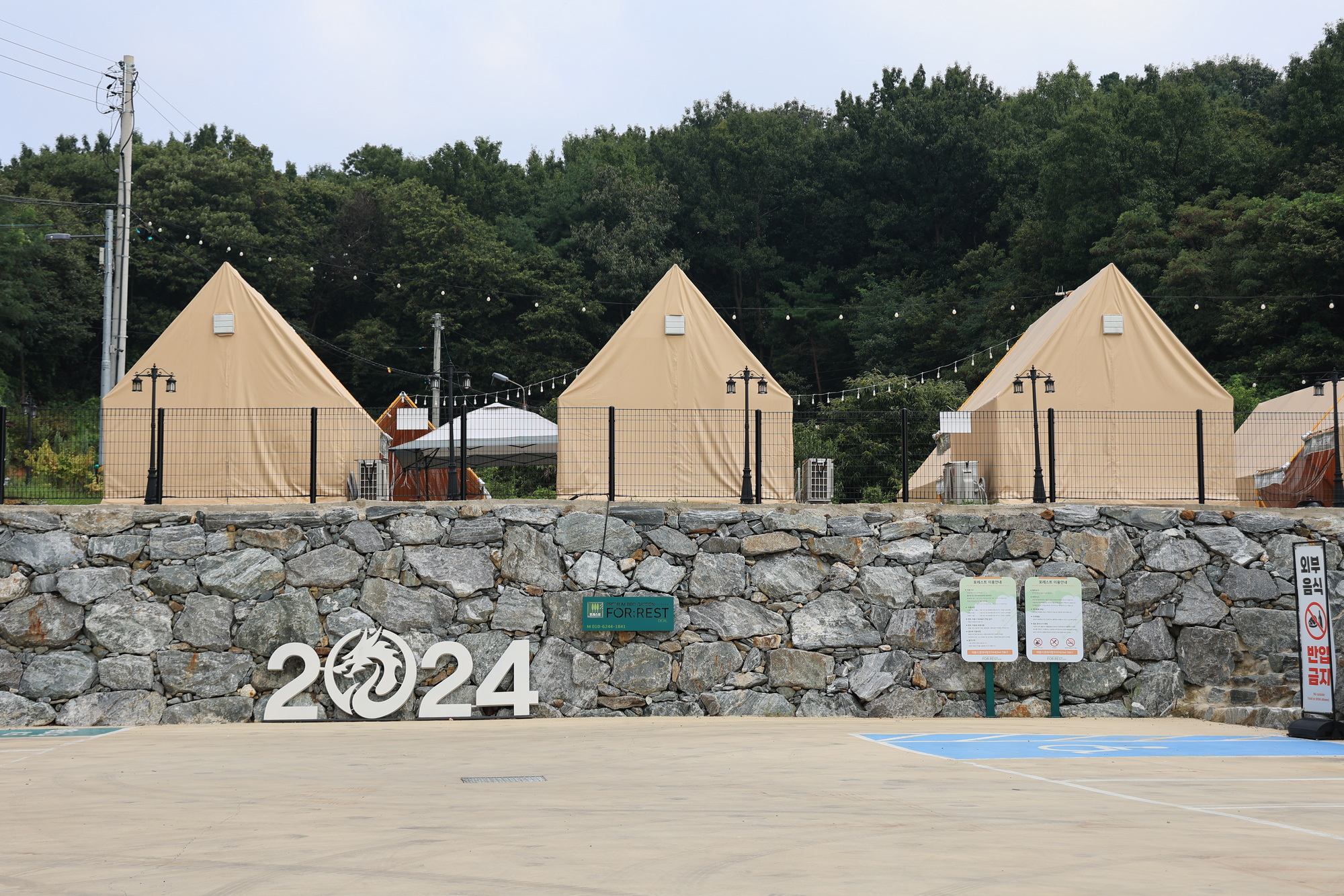포레스트 도일