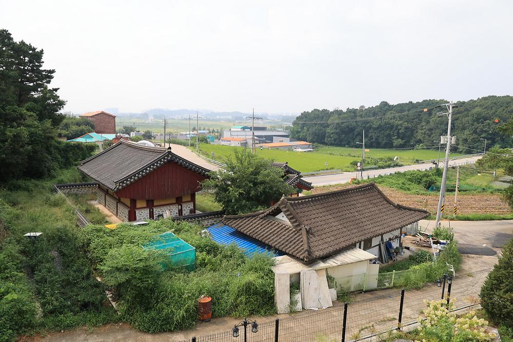 포레스트 도일