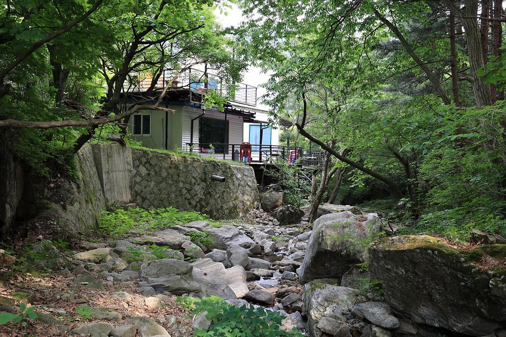 숲속다람쥐 캠프