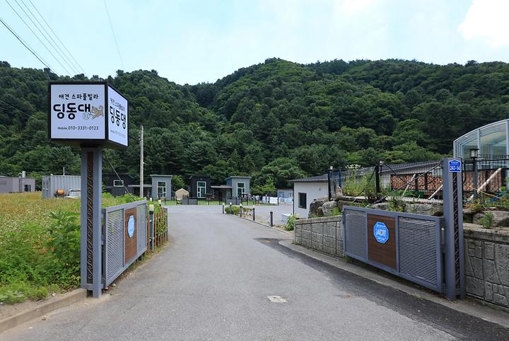 딩동댕캠핑장