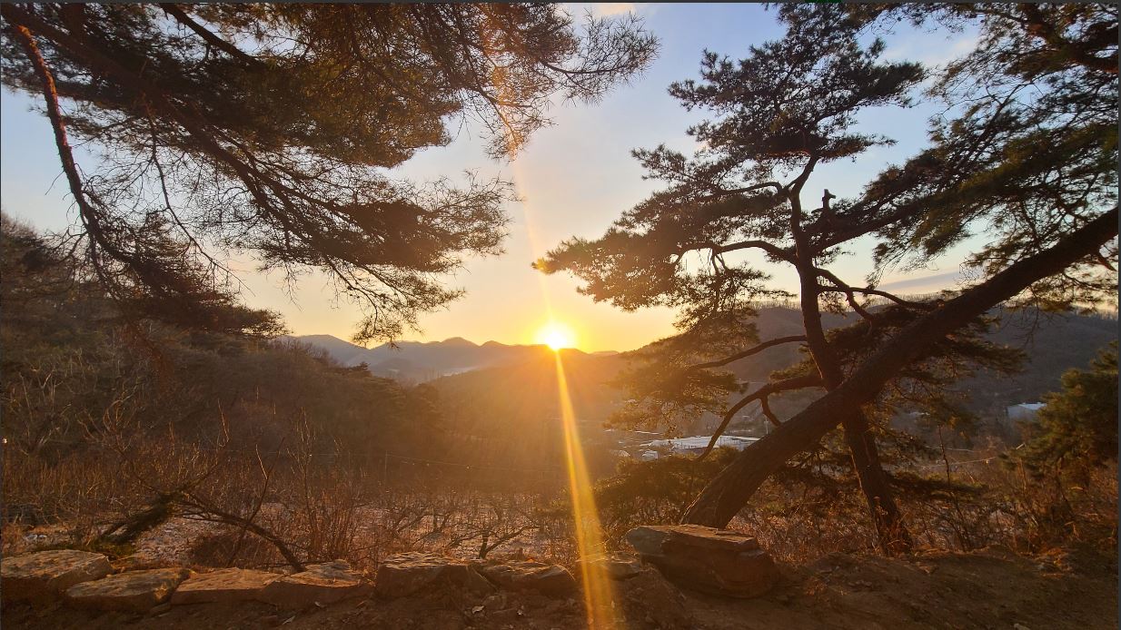배나무꽃 캠핑장