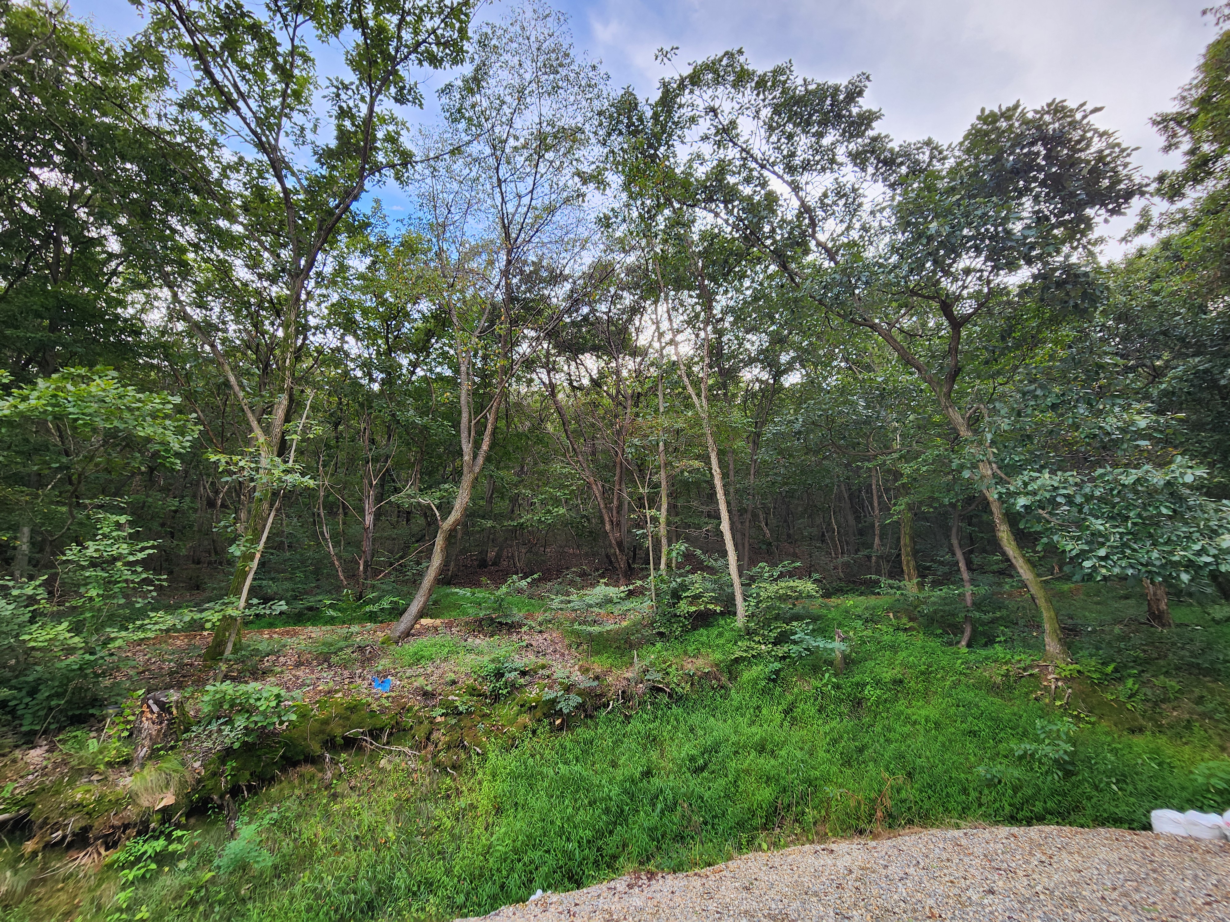 파주 옥돌캠핑장