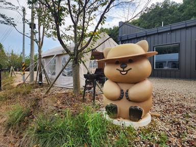 캠핑장소개 이미지