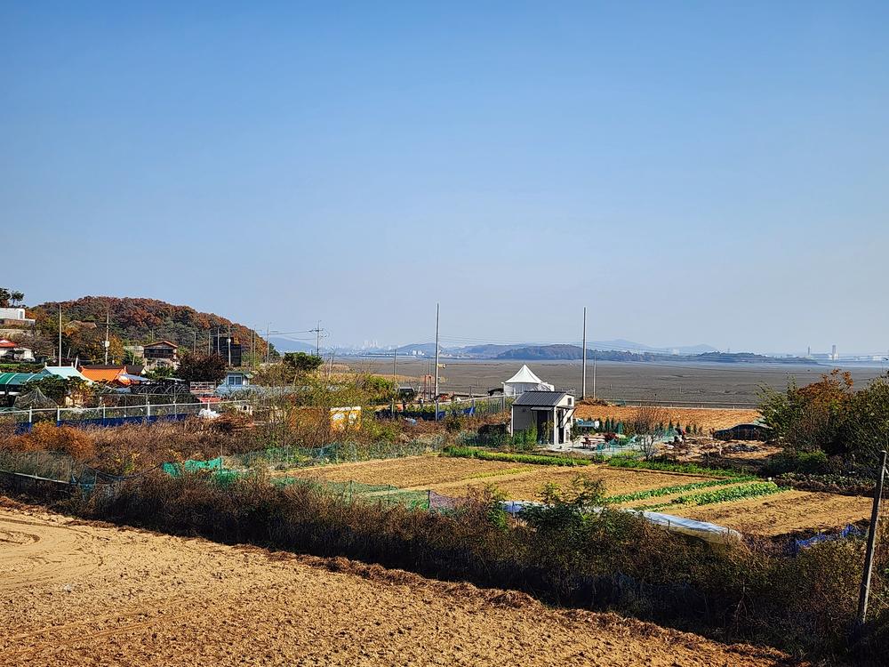 규니네 캠핑