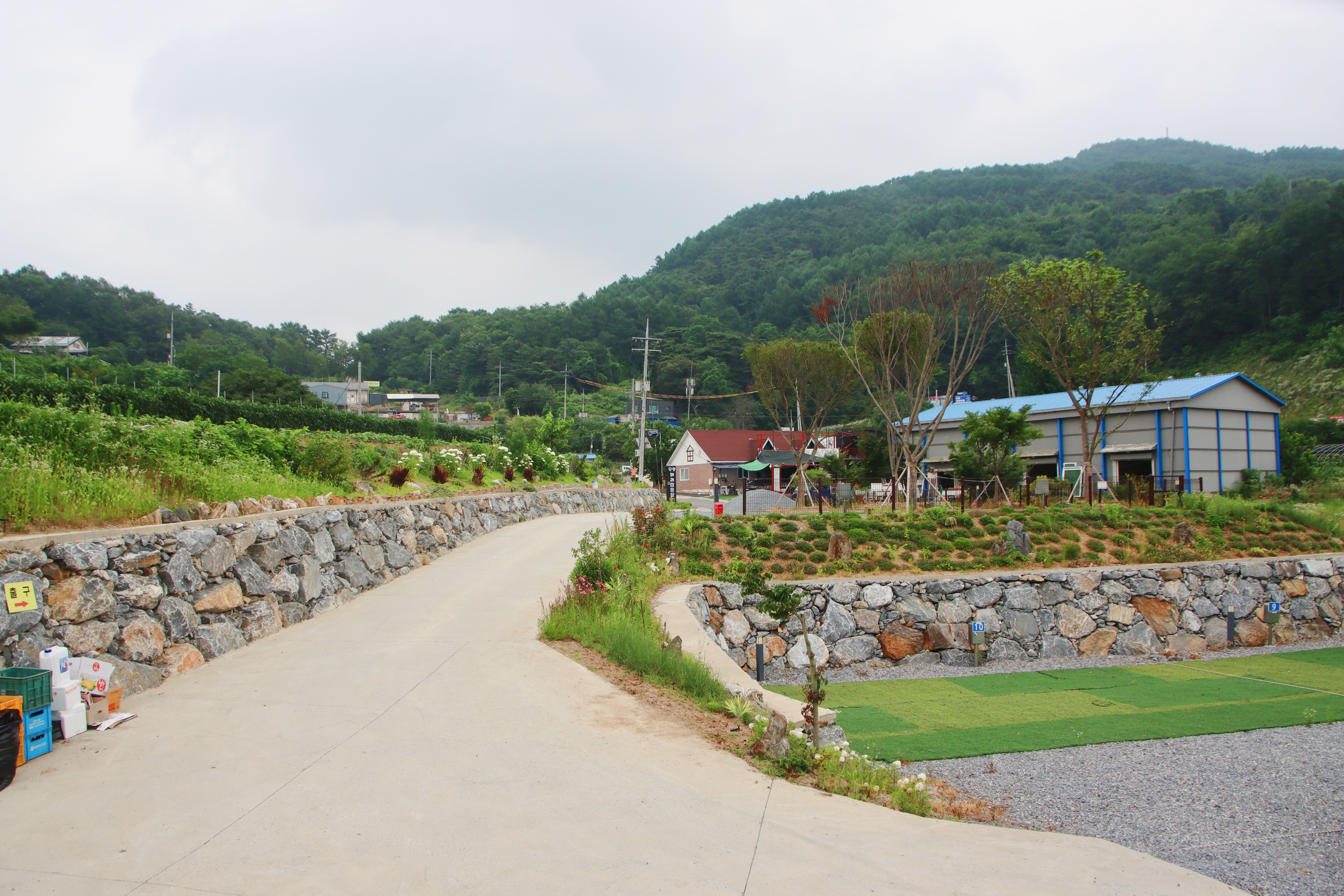 단양 패러캠핑장