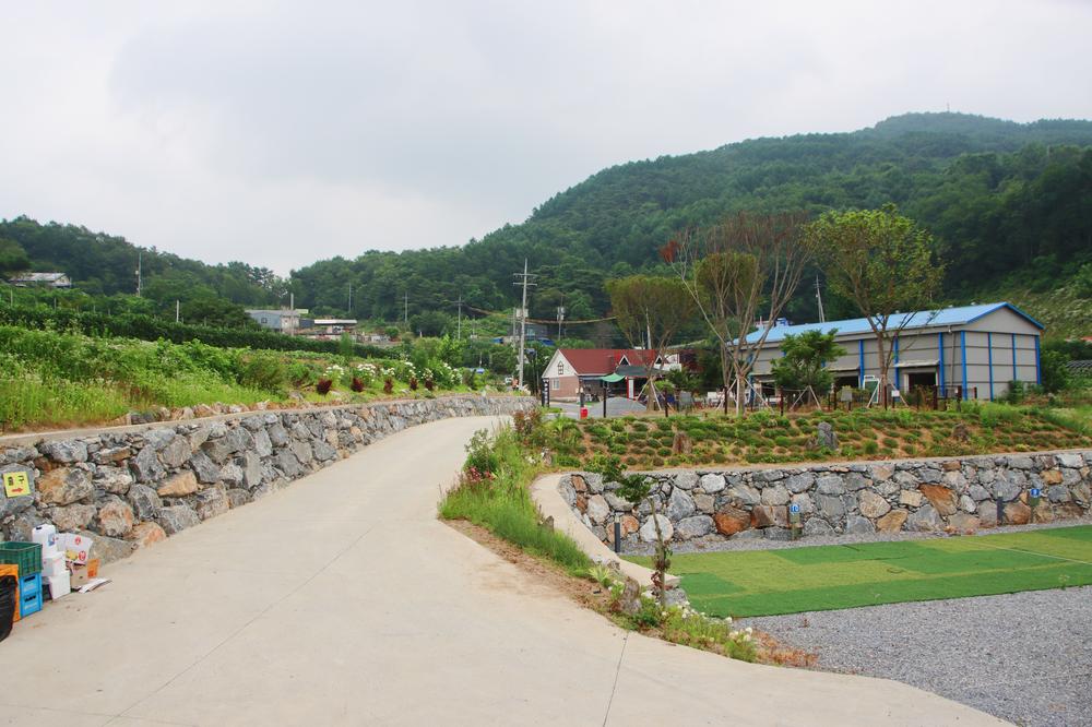 단양 패러캠핑장