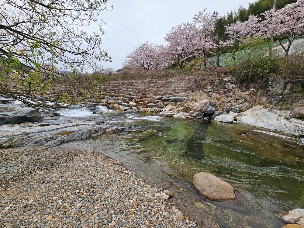 산청 지리산반달캠핑장