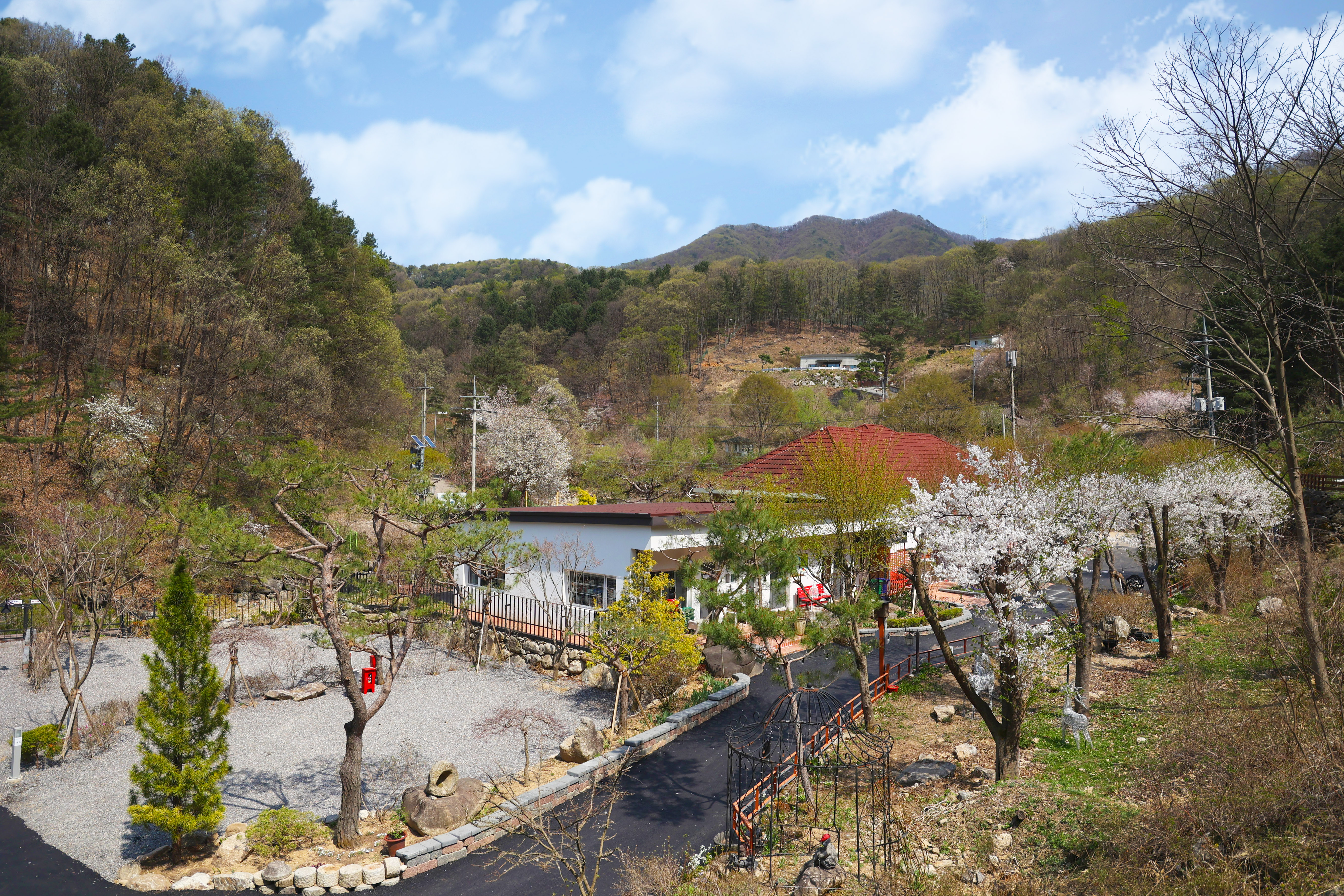 THE BON(더 본)