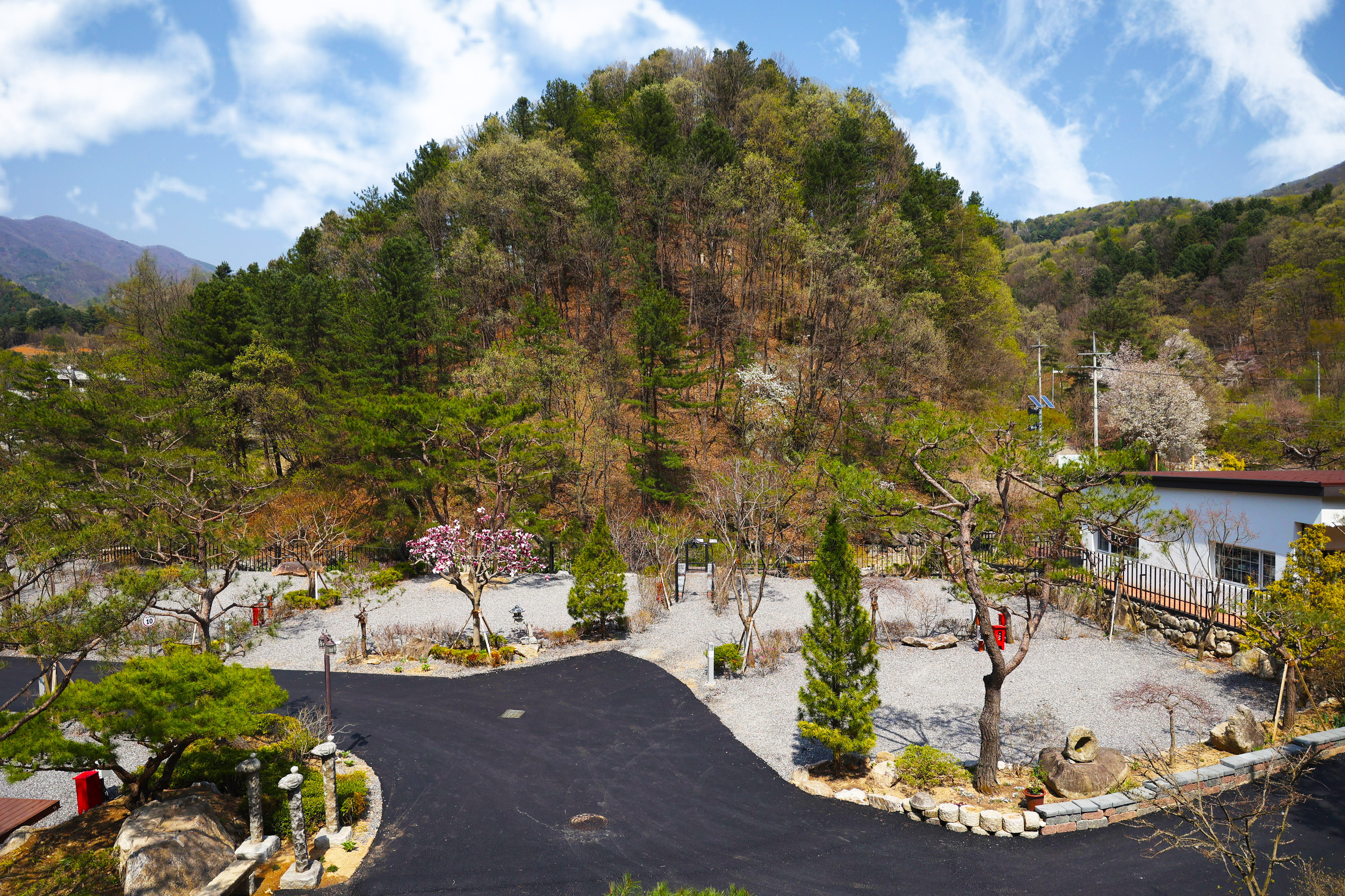 THE BON(더 본)
