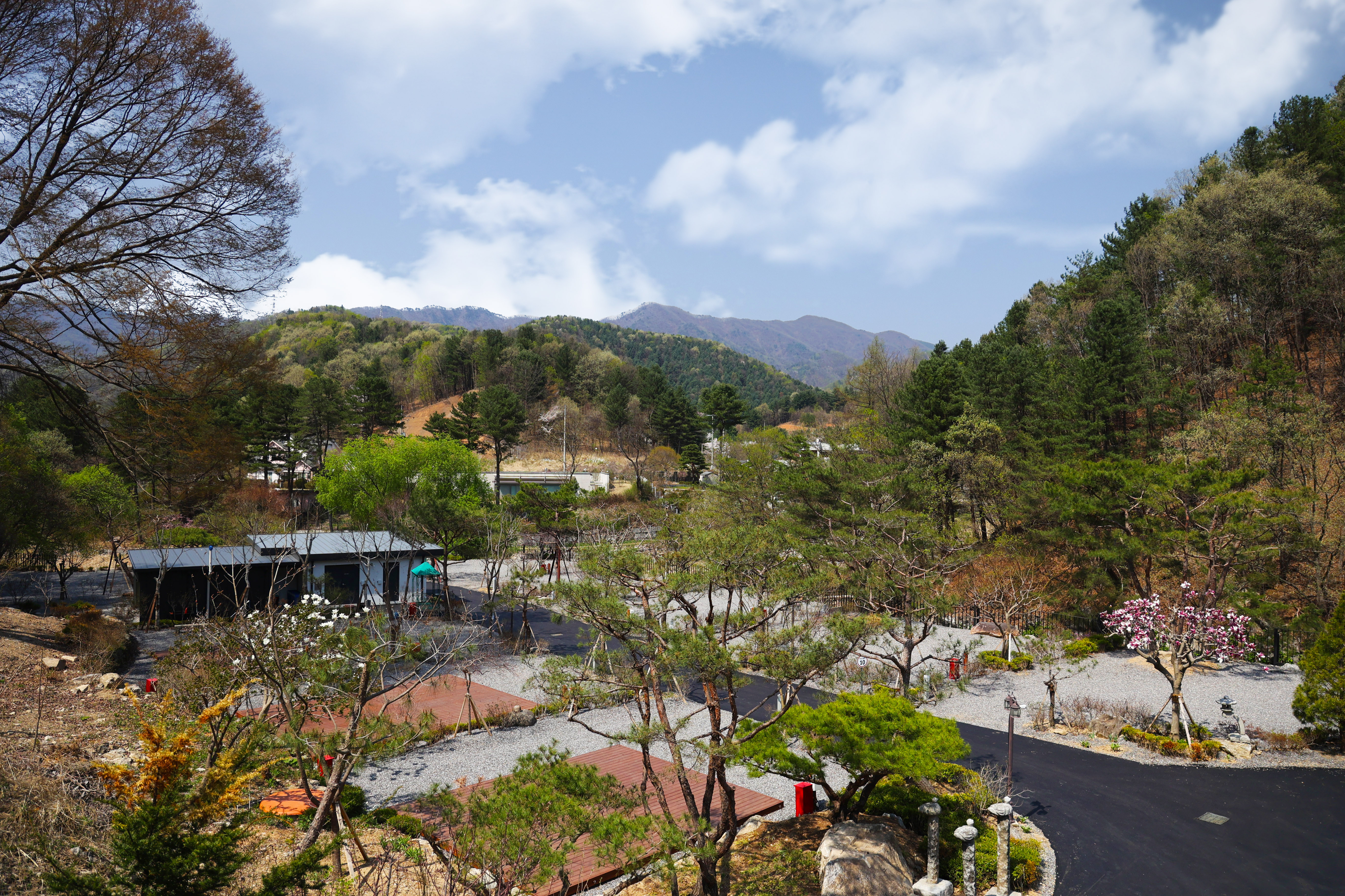 THE BON(더 본)