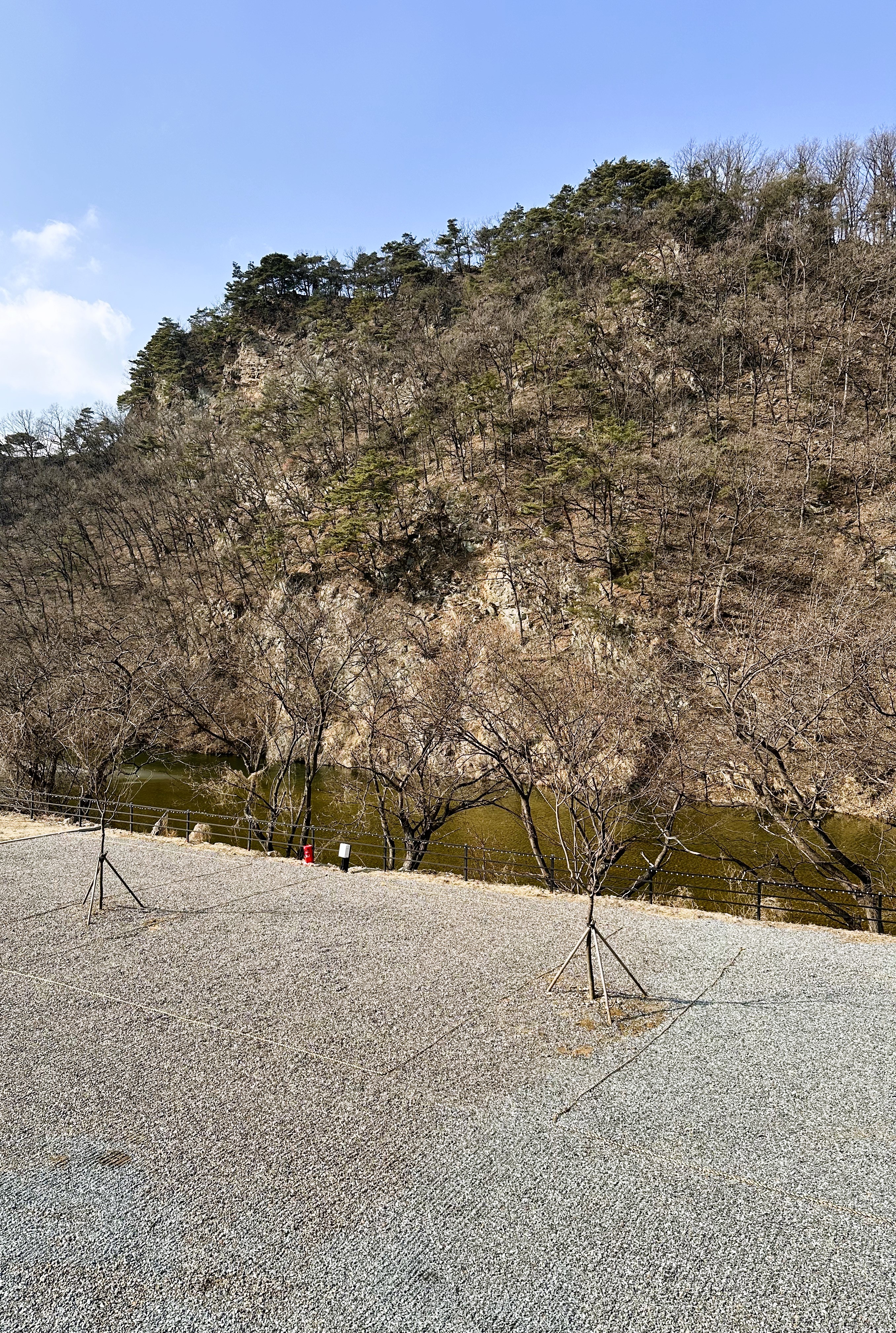 숲이야 캠핑장