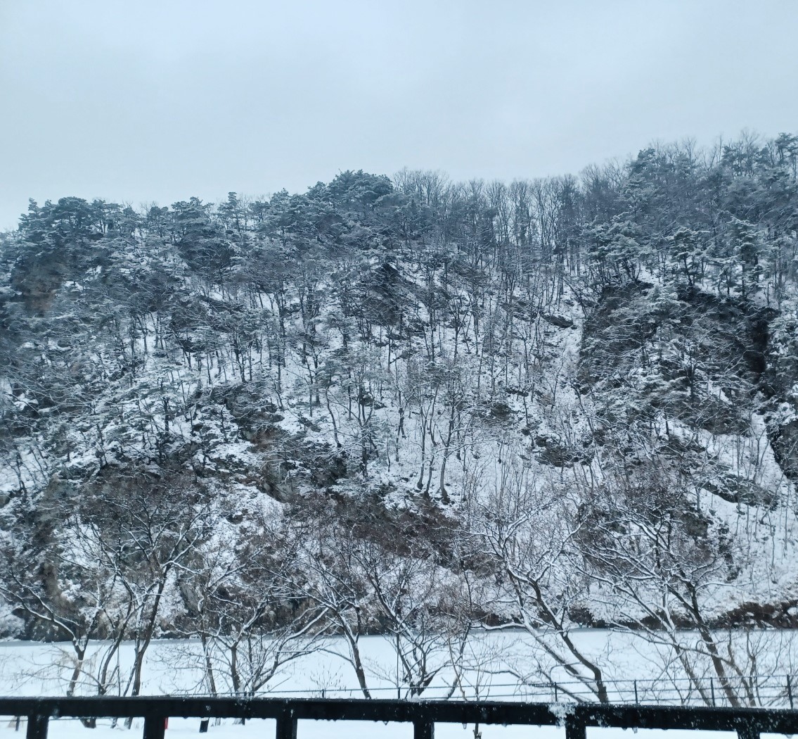 숲이야 캠핑장