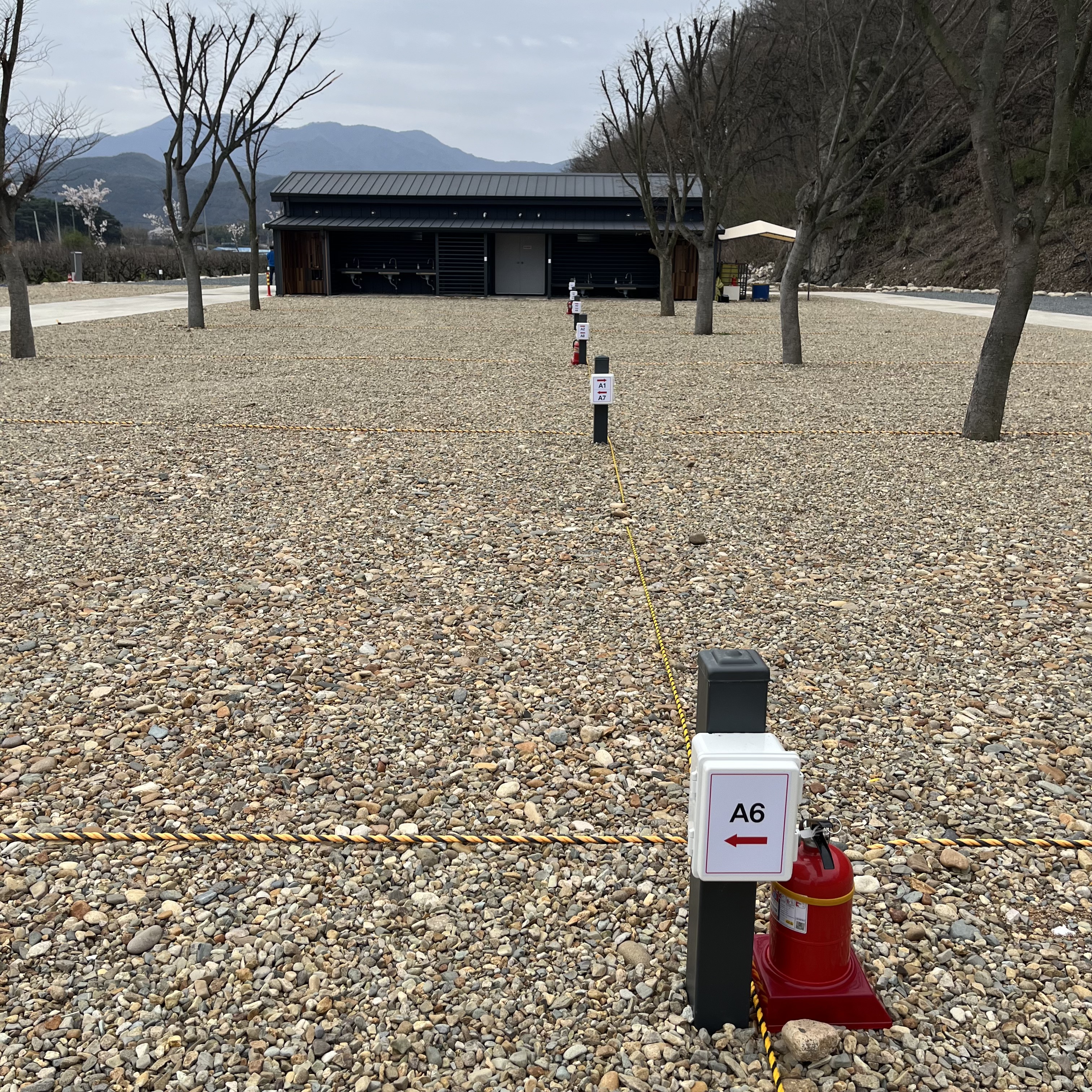 은광디미