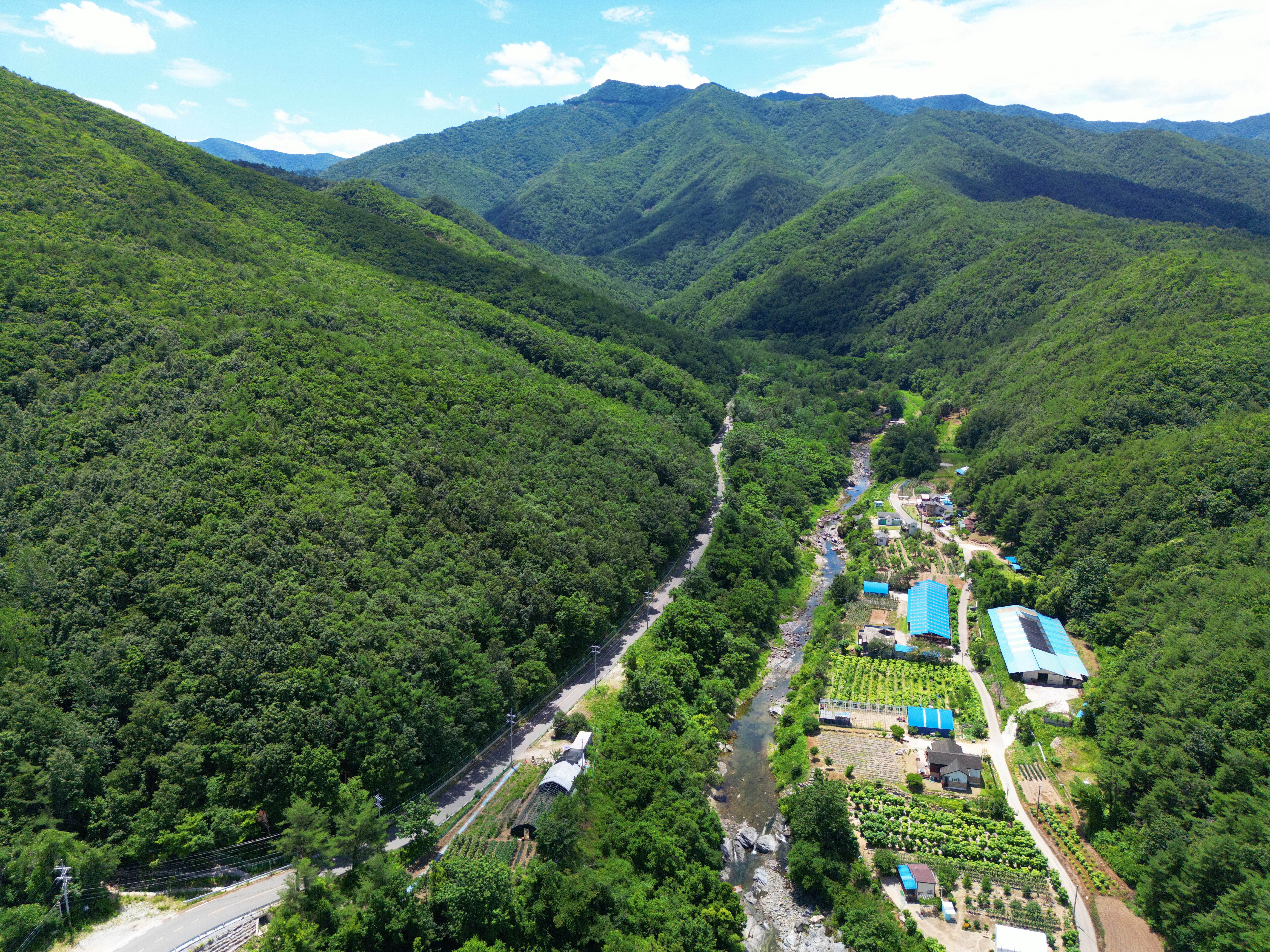 하슬라 캠핑장