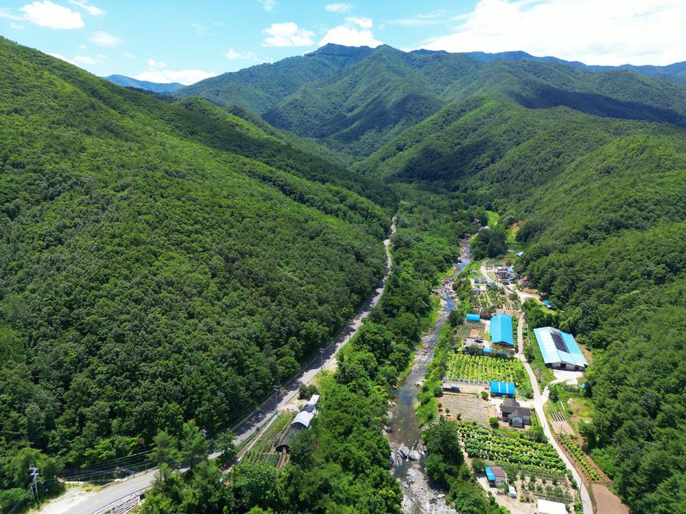 하슬라 캠핑장