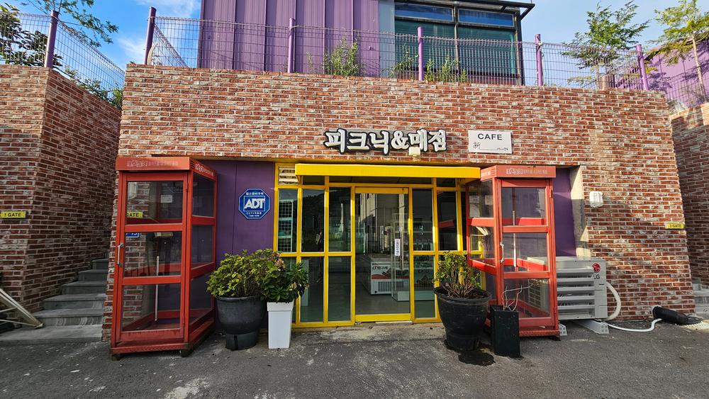 테라피크닉