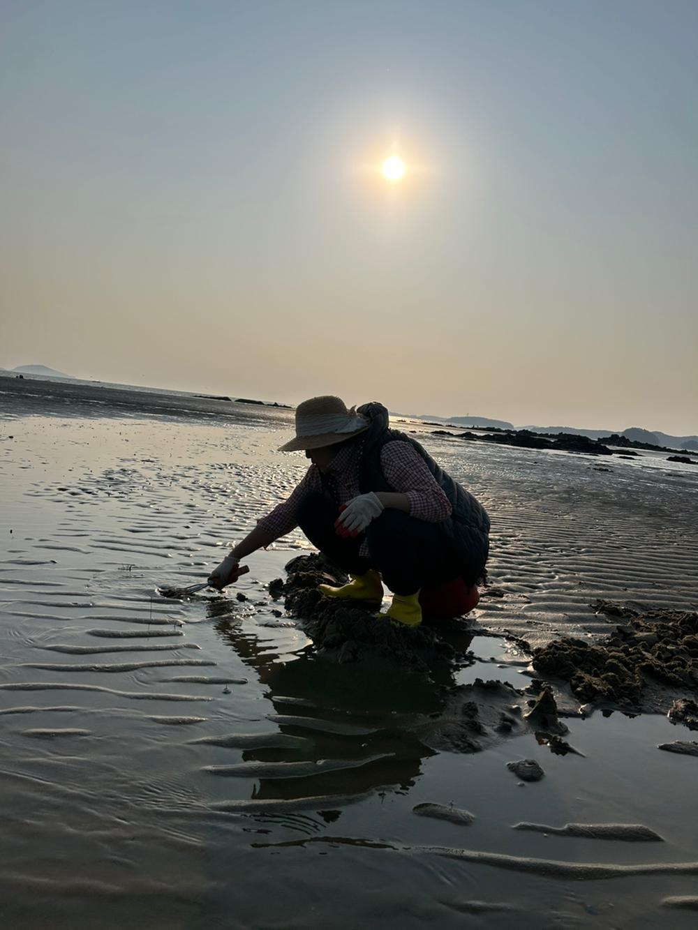 별빛갯벌캠핑장
