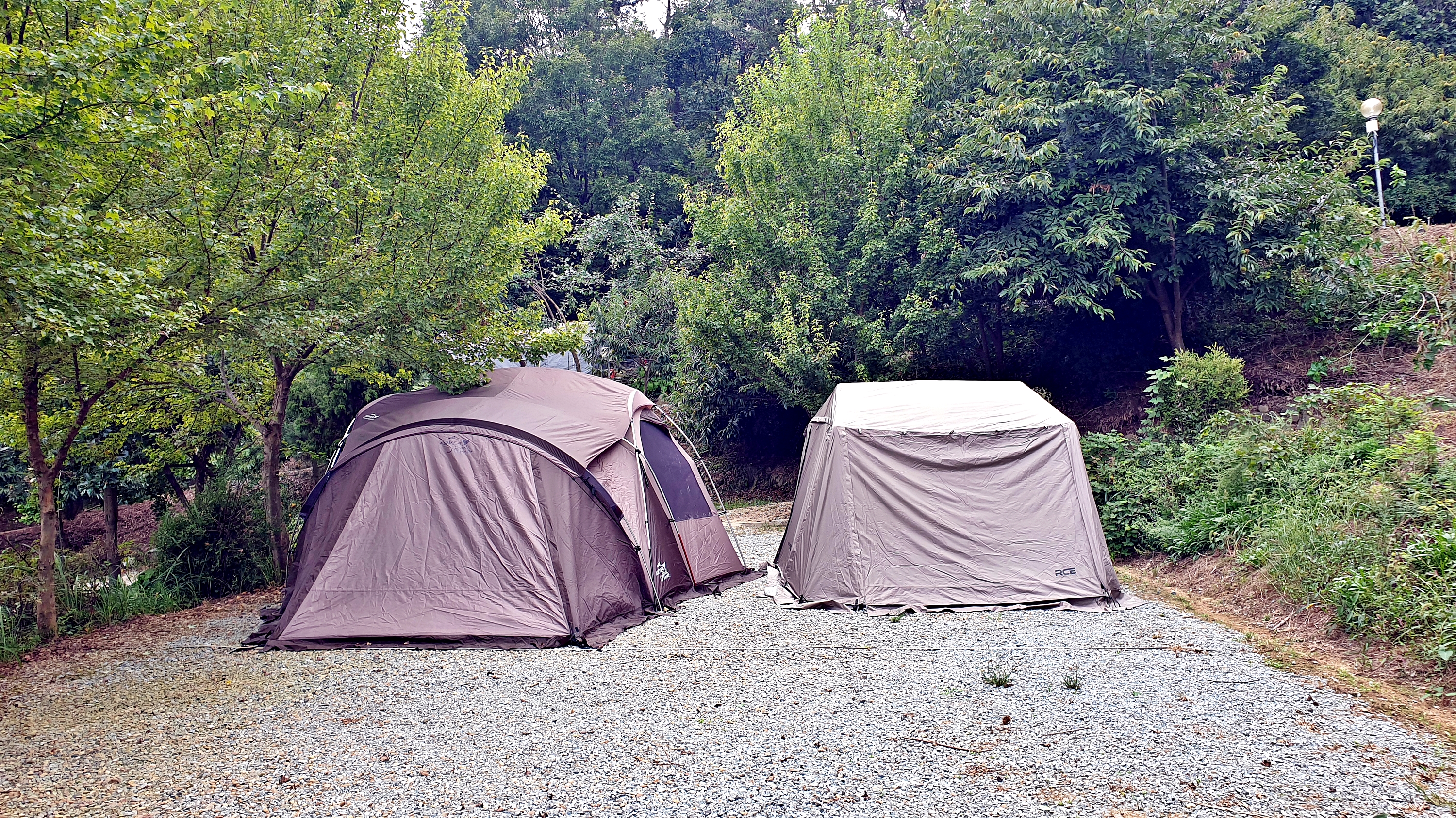 일월관광농원 캠핑장