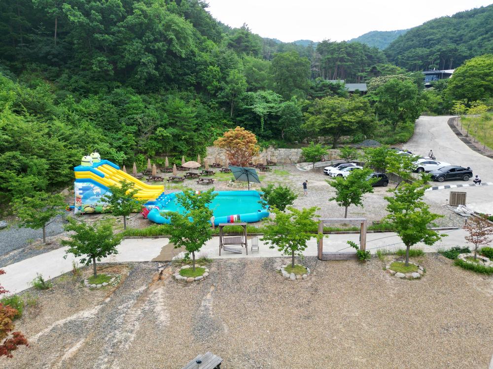 트리풀(treefull)
