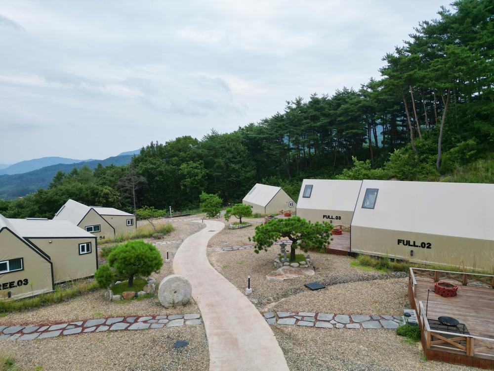 트리풀(treefull)