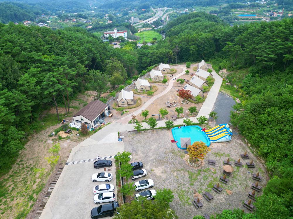 트리풀(treefull)