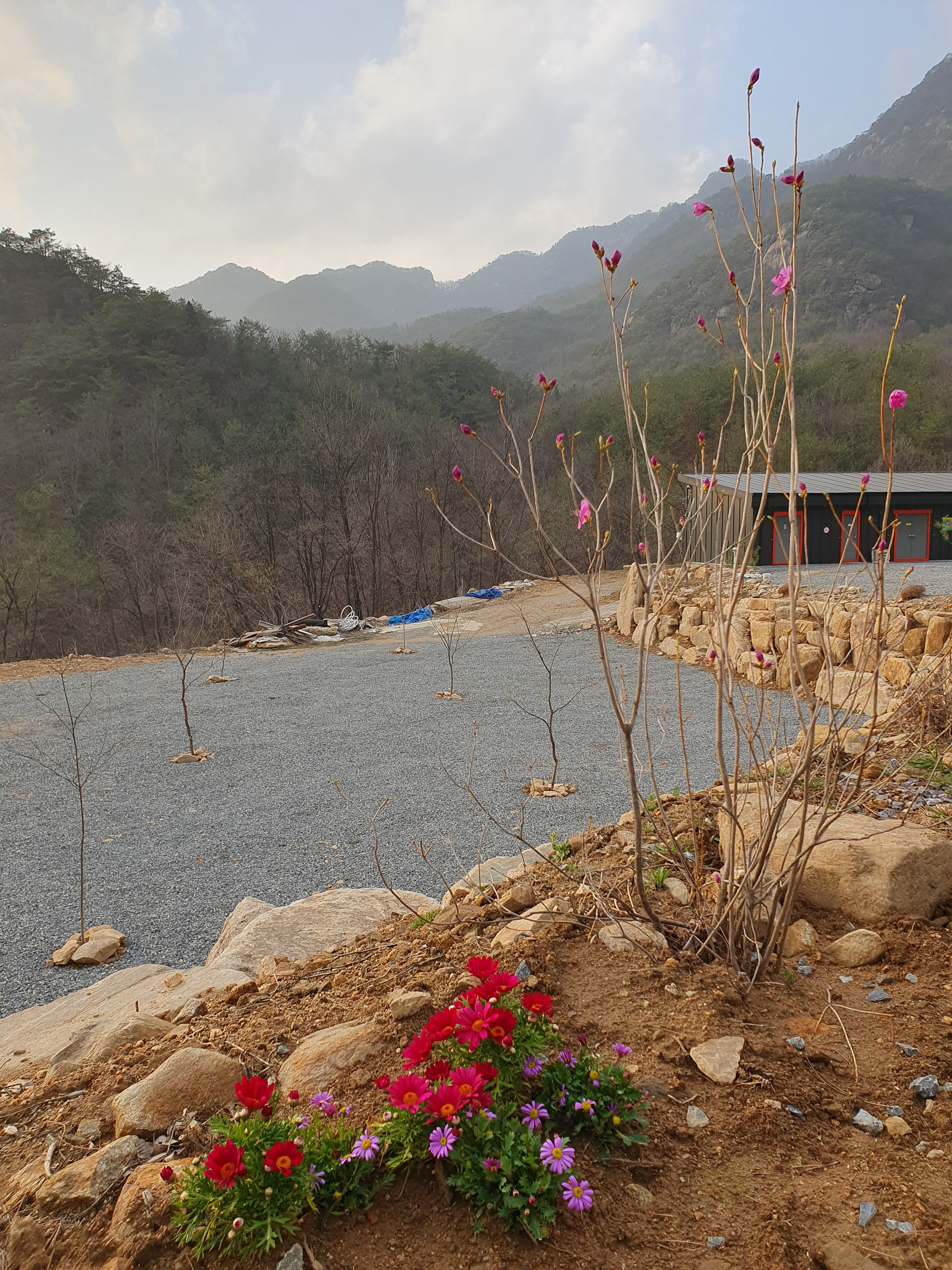 별밤 차박 캠핑장