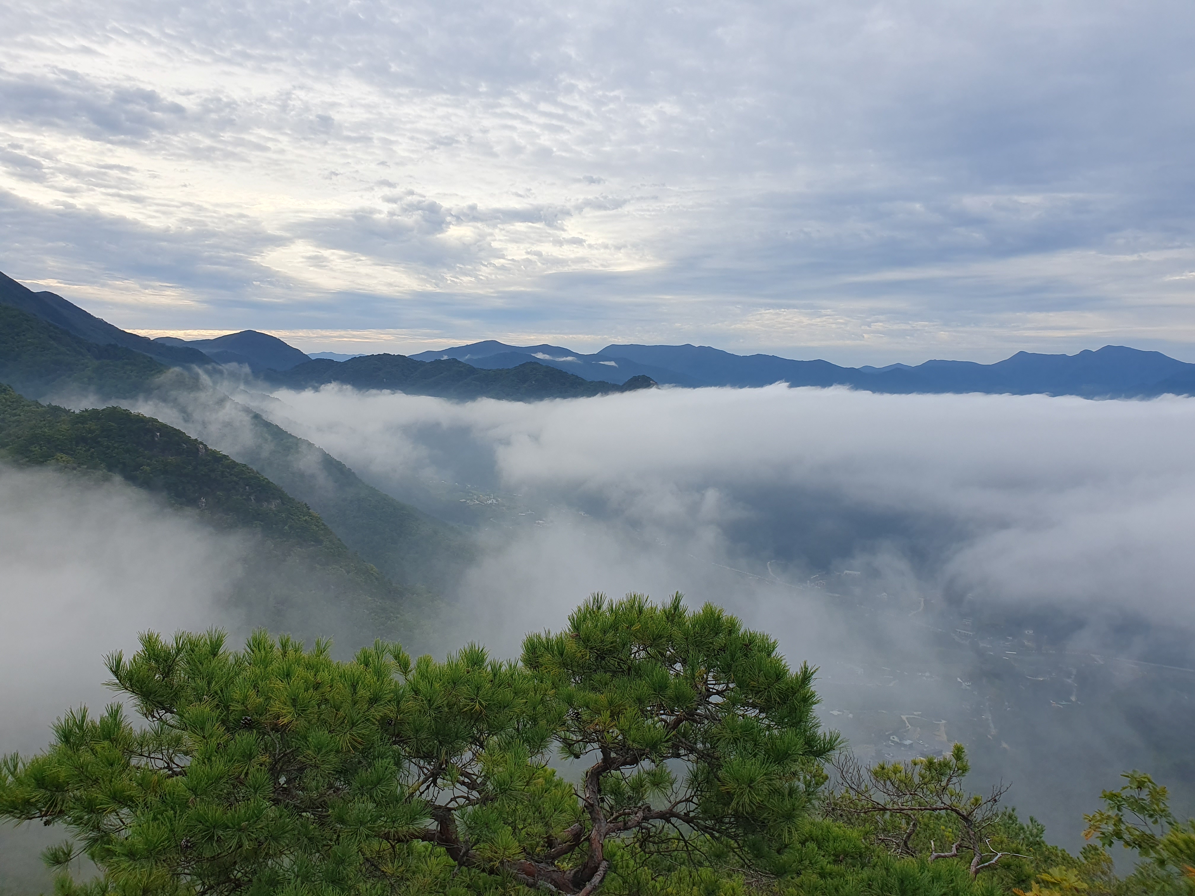 별밤 차박 캠핑장