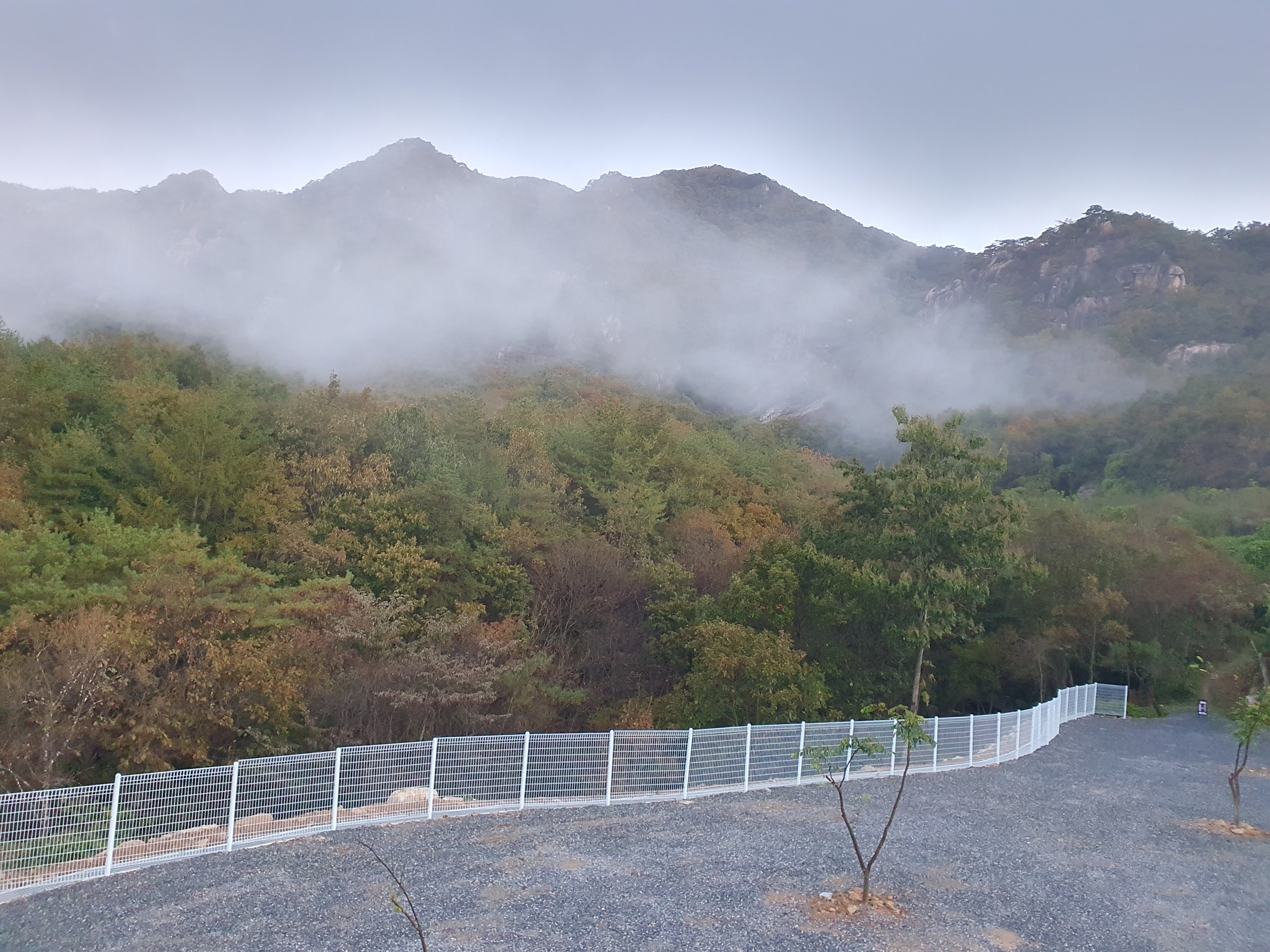 별밤 차박 캠핑장