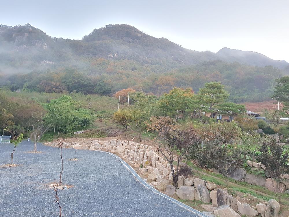 별밤 차박 캠핑장