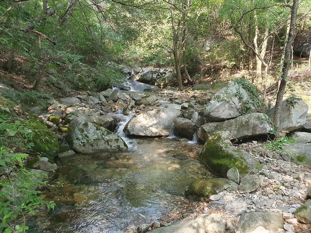 별밤 차박 캠핑장