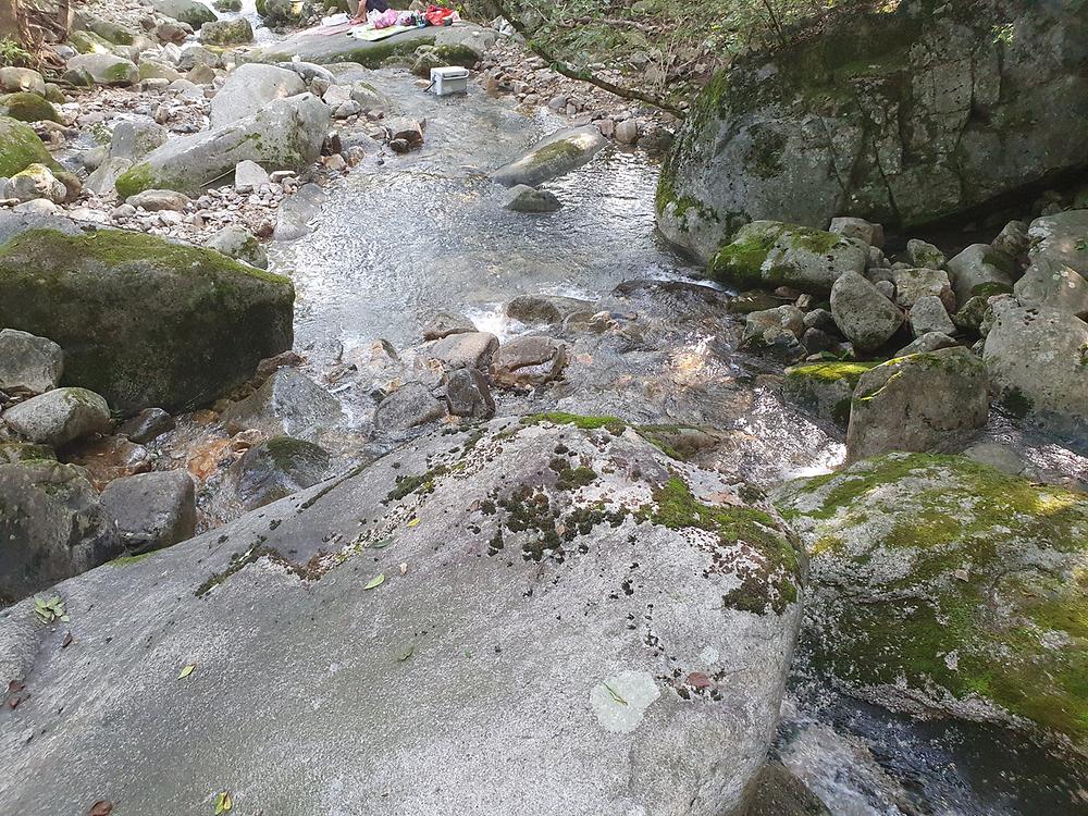 별밤 차박 캠핑장