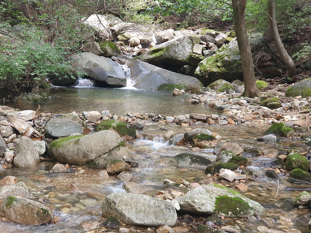 별밤 차박 캠핑장