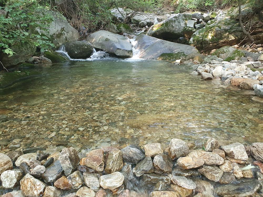 별밤 차박 캠핑장