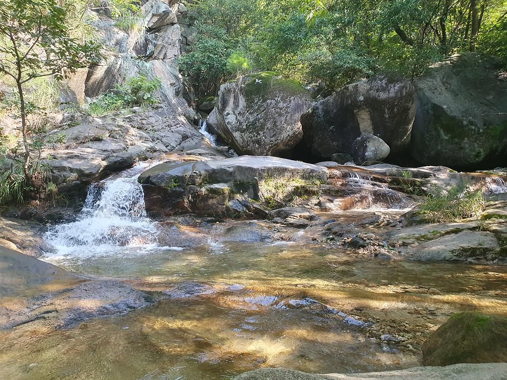 별밤 차박 캠핑장