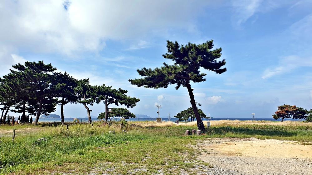 캠핑스테이 청포대