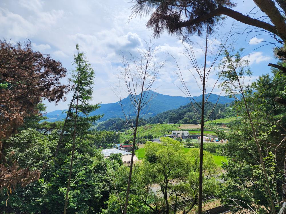 선택적고립캠핑장