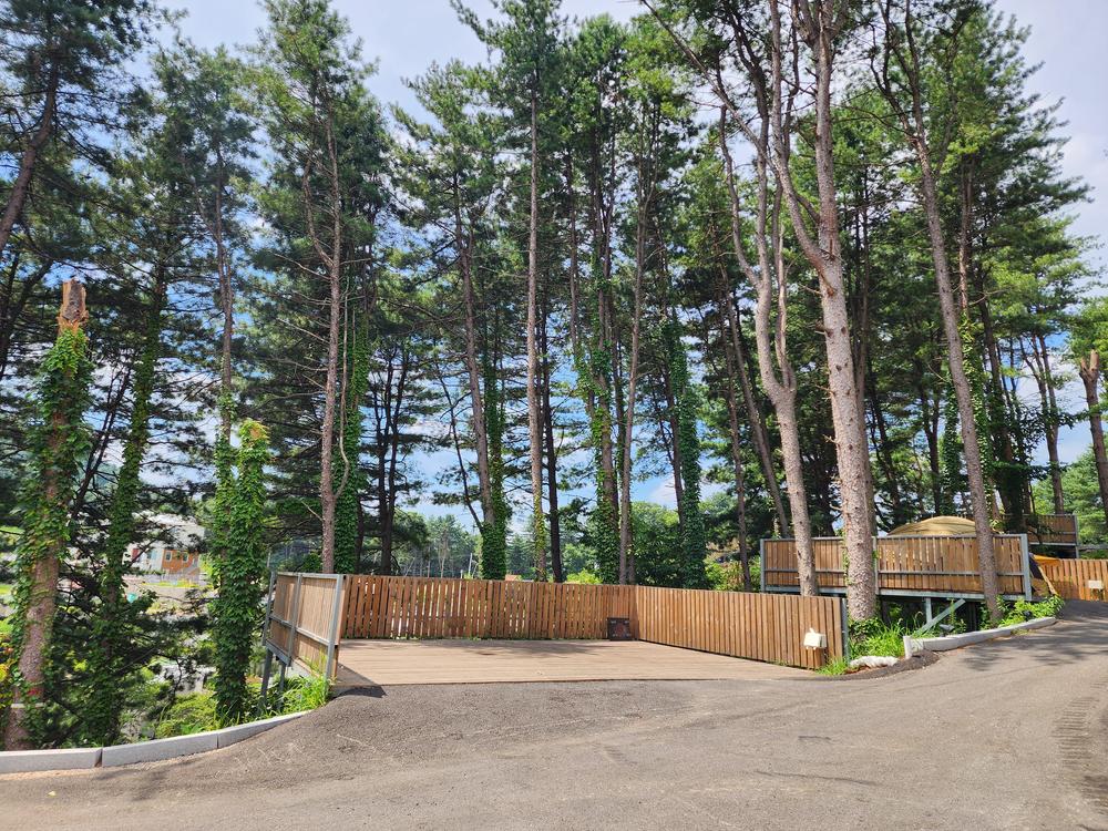 선택적고립캠핑장