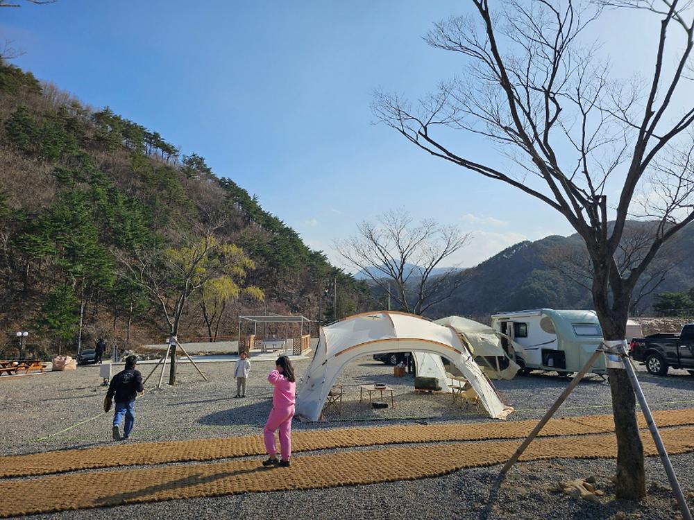 별비담캠핑장