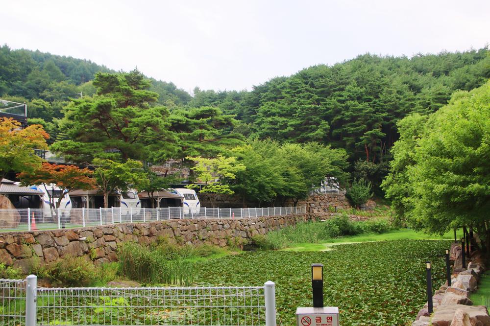 80포레스트카라반캠프