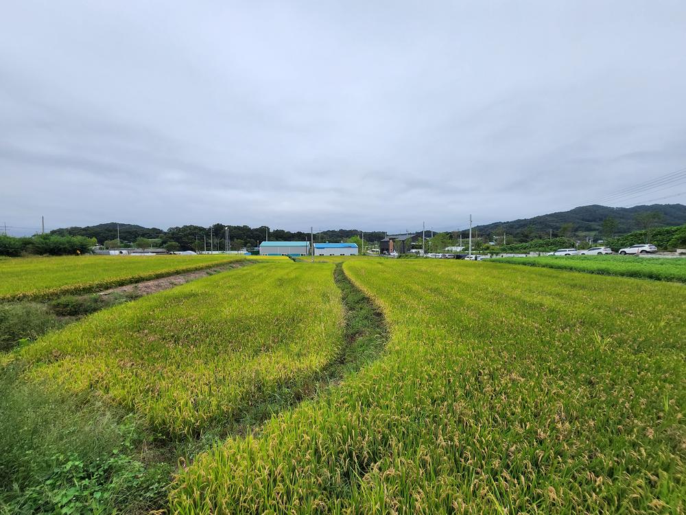 그린바움캠핑장