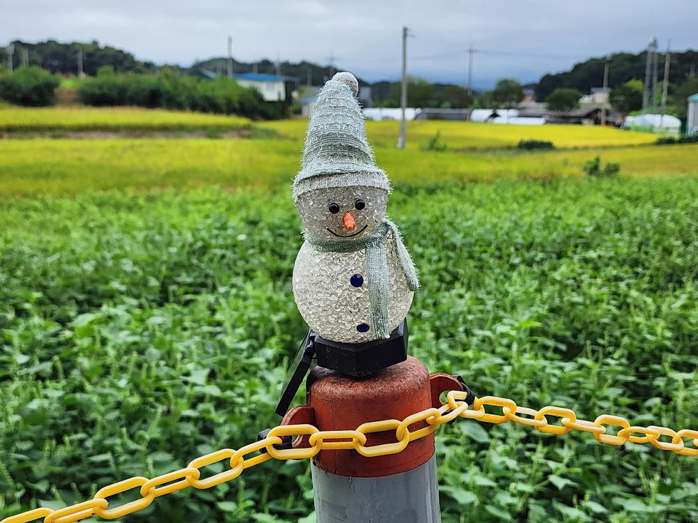 그린바움캠핑장