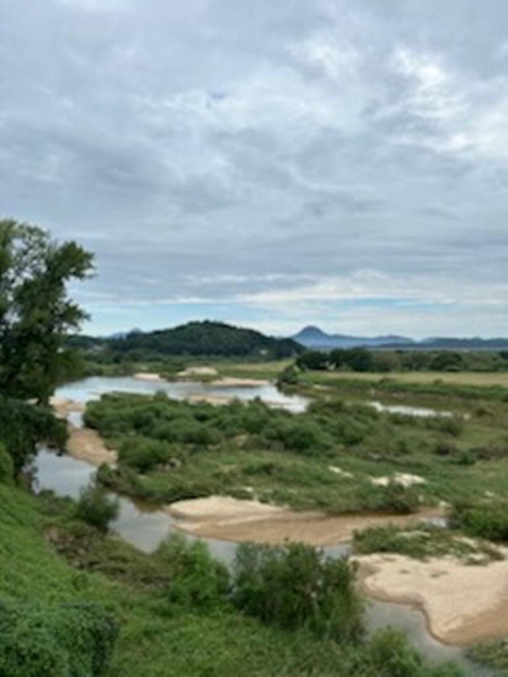 그린바움캠핑장