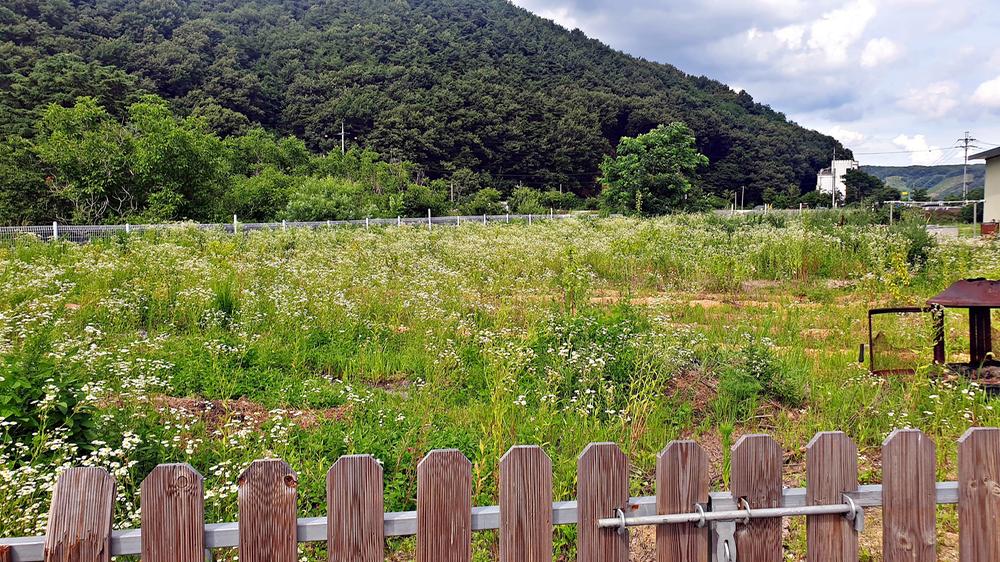 천안 디디글램핑