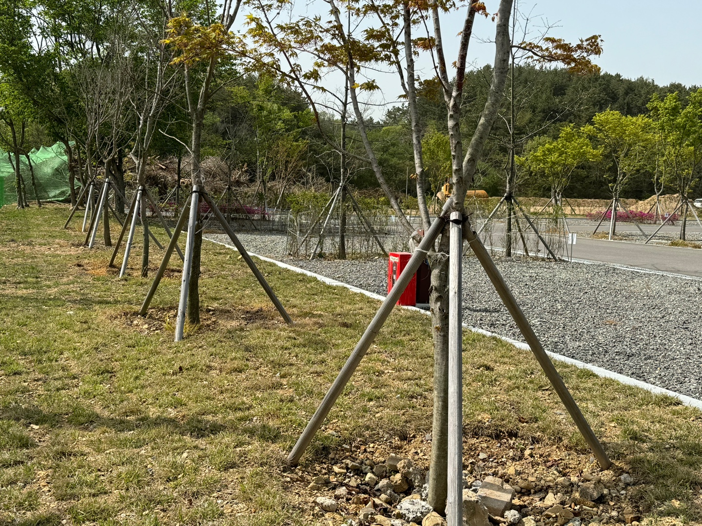 별천지 캠핑장