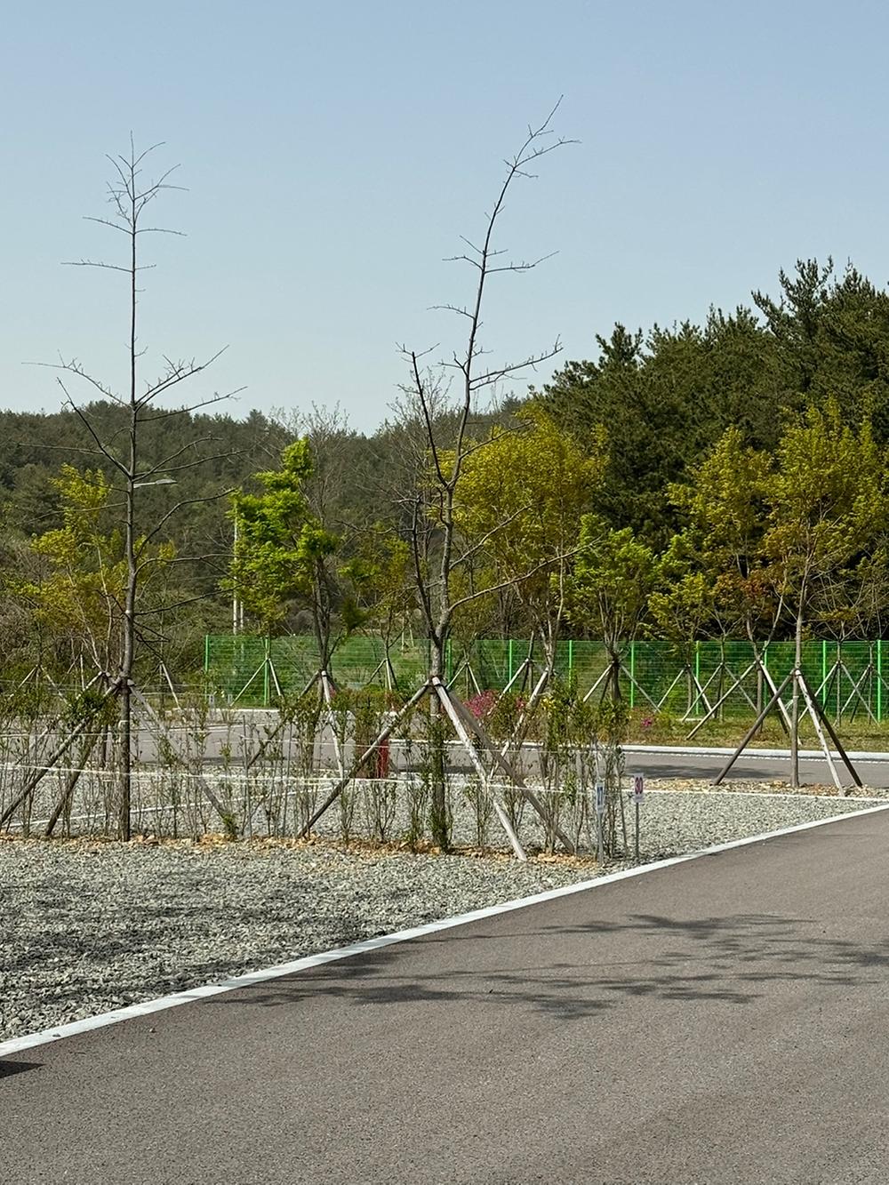 별천지 캠핑장