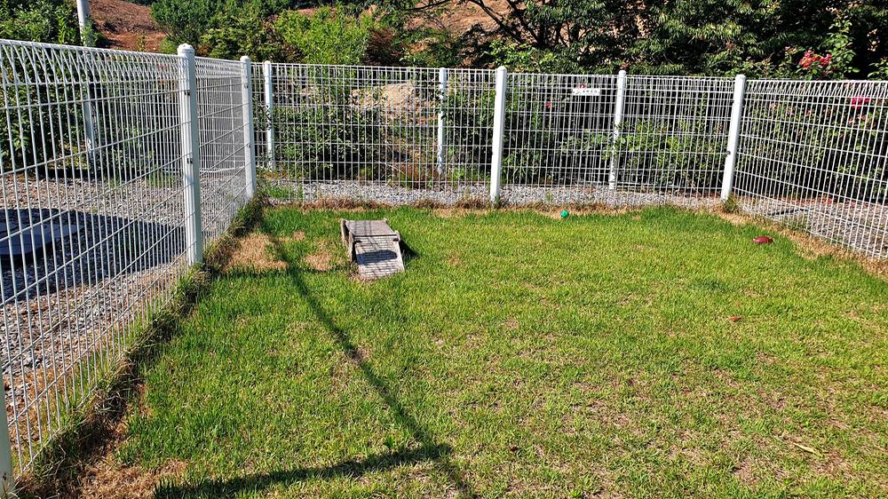 바베큐팩토리캠핑장