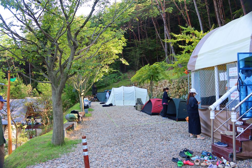 (주)러블레싱(LOVEBLEESING INC)