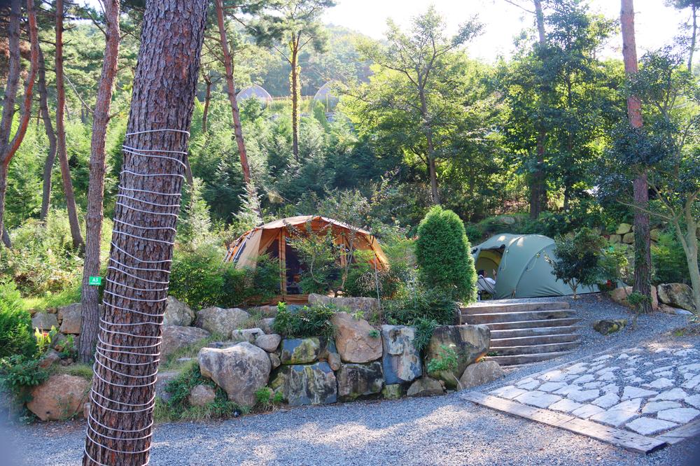 (주)러블레싱(LOVEBLEESING INC)