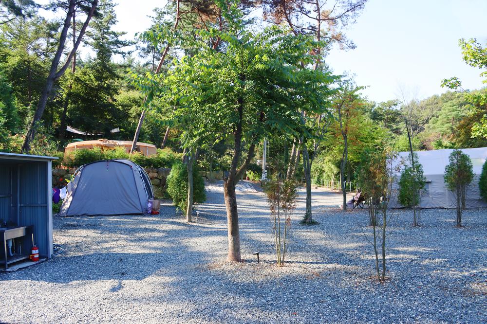 (주)러블레싱(LOVEBLEESING INC)